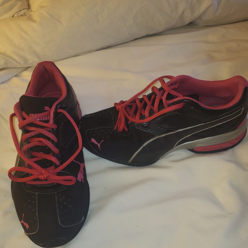 Pumas - Picture 2 of 3